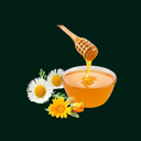 EVA ORGANIC POLYFLORAL HONEY