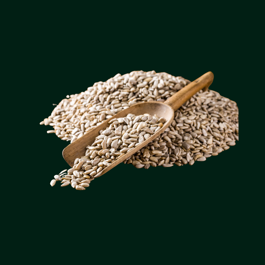 EVA SUNFLOWER SEEDS - KERNEL