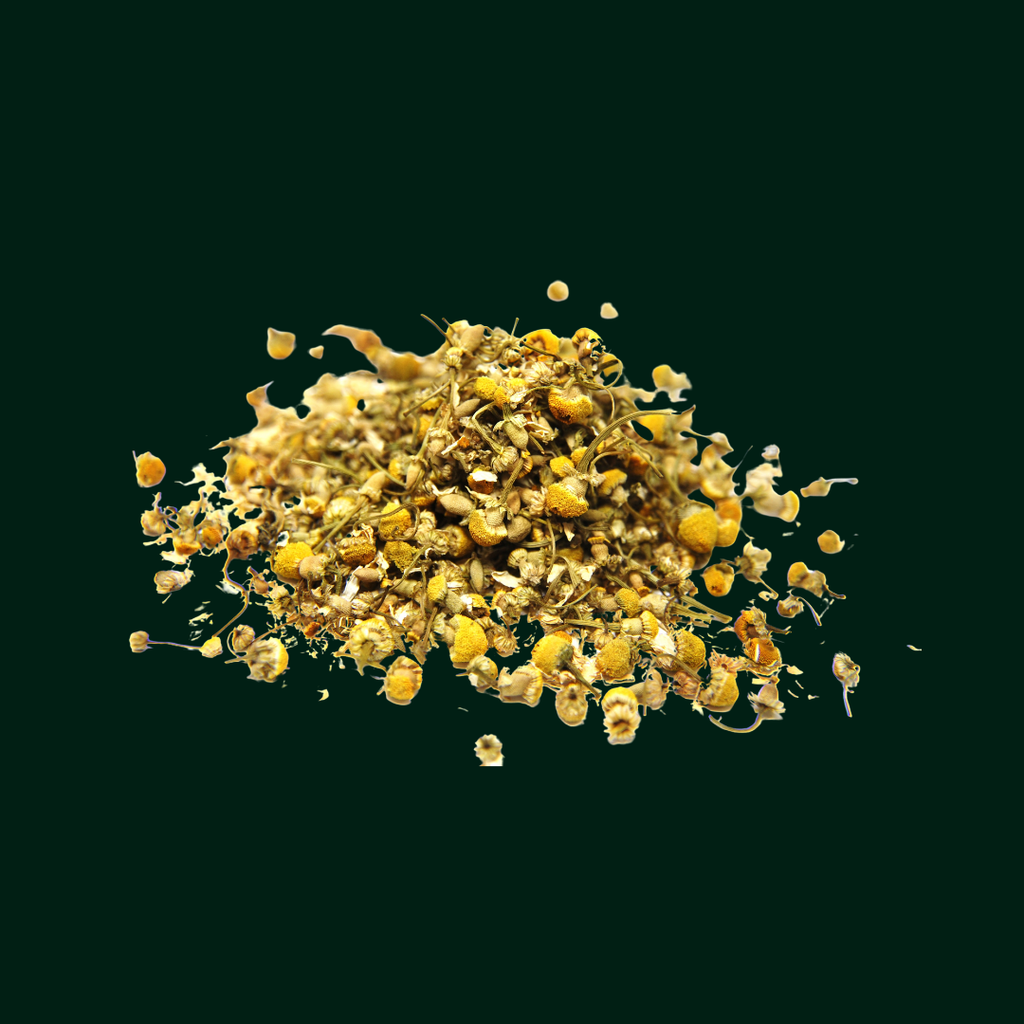 EVA CHAMOMILE HERBS (BABUNE)